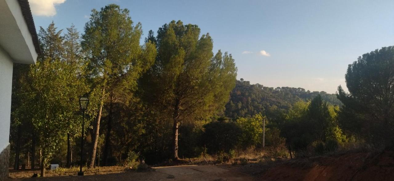 הוילה קורדובה Bonita Casa Blanca En El Bosque. מראה חיצוני תמונה