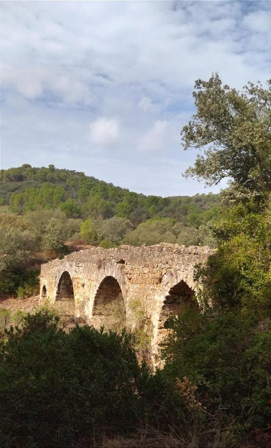 הוילה קורדובה Bonita Casa Blanca En El Bosque. מראה חיצוני תמונה