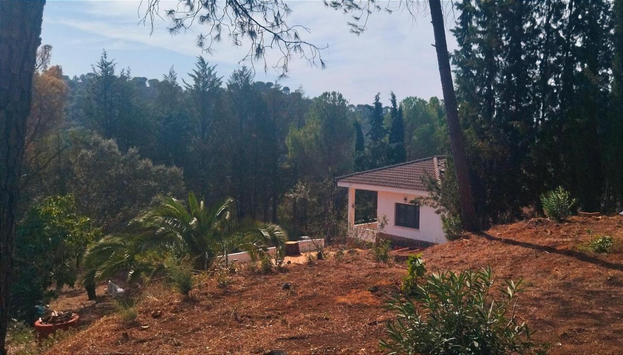 הוילה קורדובה Bonita Casa Blanca En El Bosque. מראה חיצוני תמונה