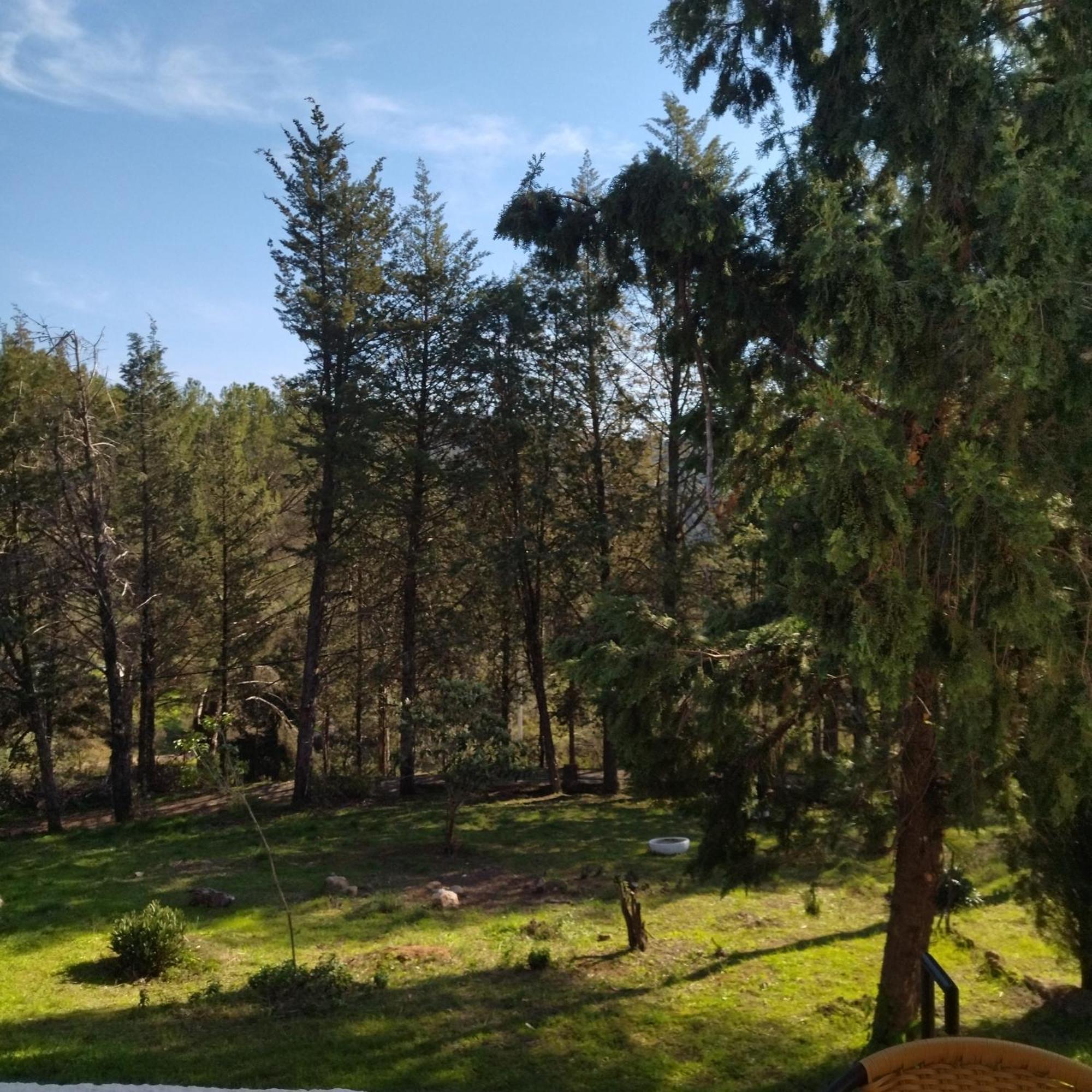 הוילה קורדובה Bonita Casa Blanca En El Bosque. מראה חיצוני תמונה