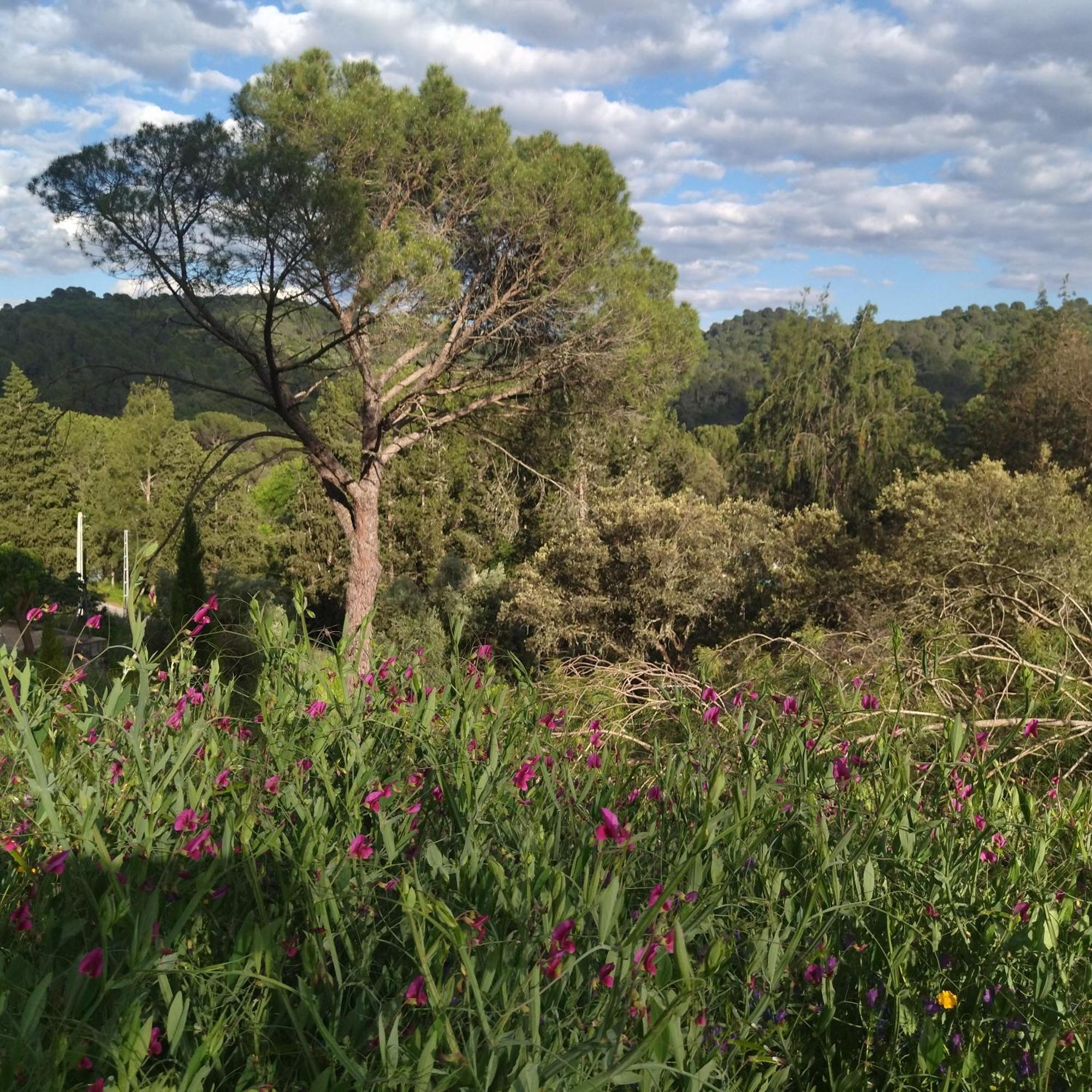 הוילה קורדובה Bonita Casa Blanca En El Bosque. מראה חיצוני תמונה